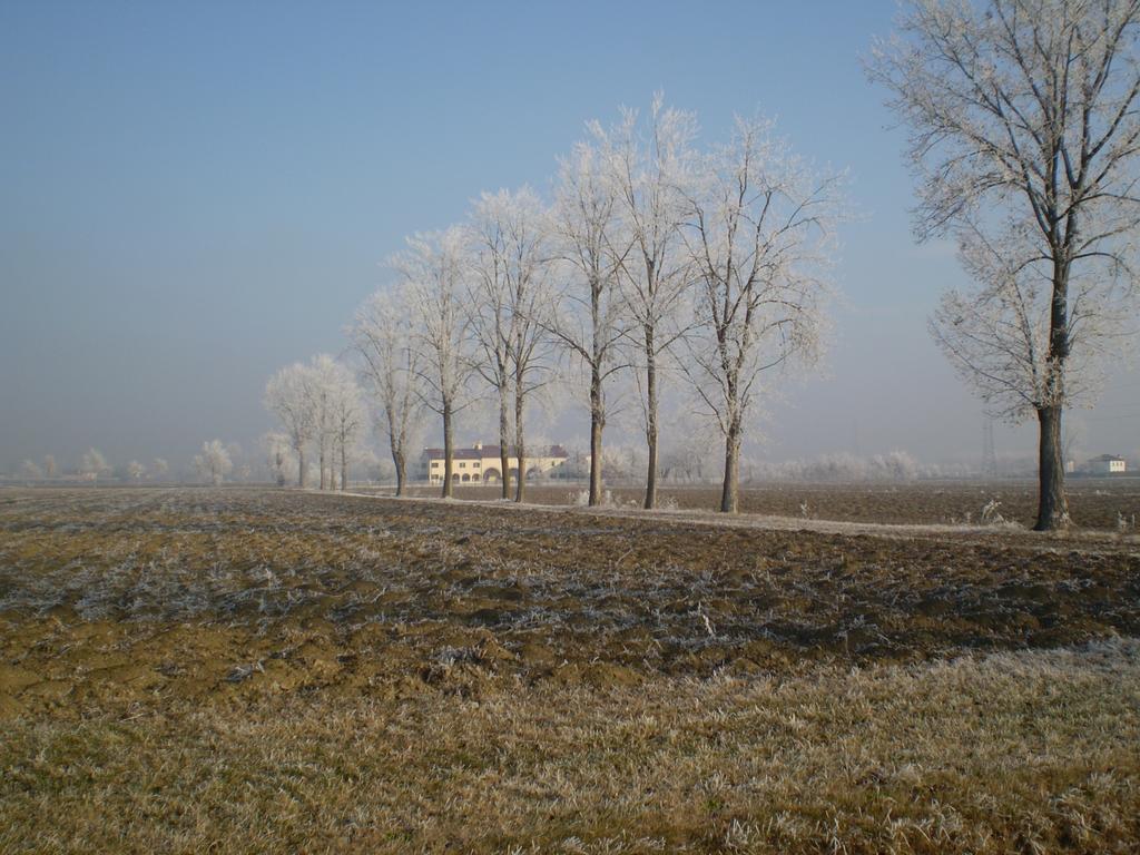 San Biagio di Callalta Il Rifugio Del Poetaゲストハウス エクステリア 写真